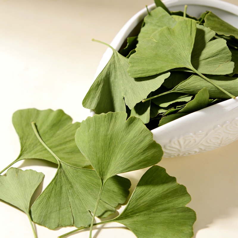 Home Fragrance Candles - Quality Ginkgo Biloba Dried Leaves For